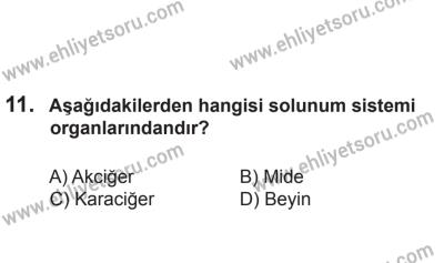 8 Aralık 2013 Tarihli Sürücü Adayları Sınavı M Kitapçığı 11. Soru