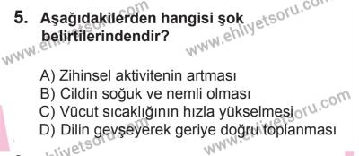 8 Ekim 2016 Tarihli Sürücü Adayları Sınavı M Kitapçığı 1. Oturum 5. Soru