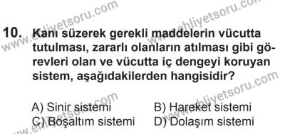 8 Ekim 2016 Tarihli Sürücü Adayları Sınavı M Kitapçığı 2. Oturum 10. Soru