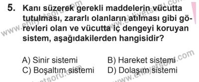 8 Ekim 2016 Tarihli Sürücü Adayları Sınavı N Kitapçığı 2Oturumu 5. Soru